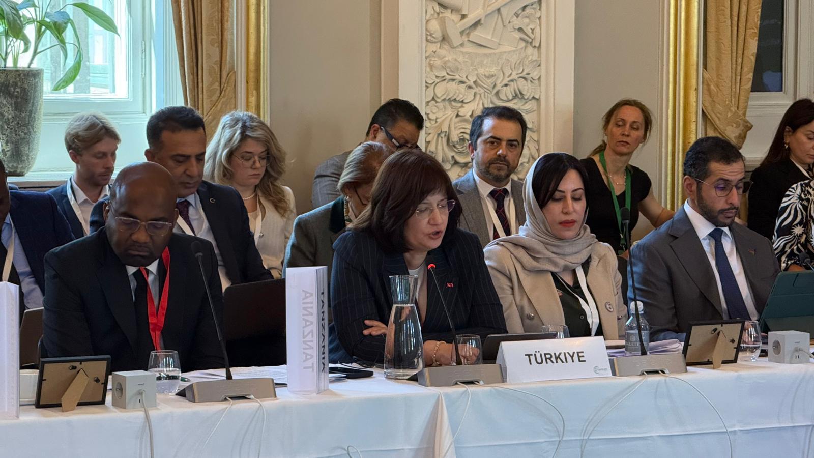 Copenhagen Climate Ministerial Meeting Held in Copenhagen, Capital of Denmark