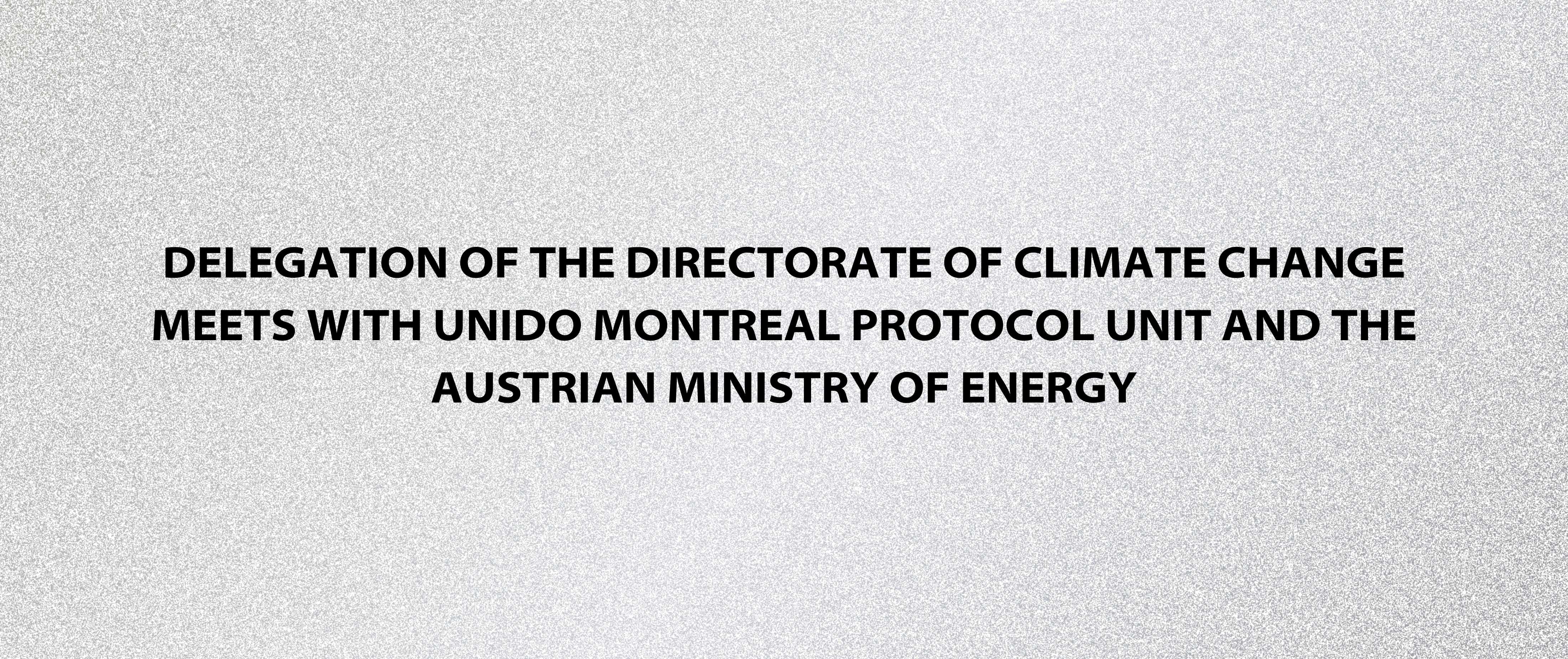 Delegation of the Directorate of Climate Change Meets with UNIDO Montreal Protocol Unit and the Austrian Ministry of Energy