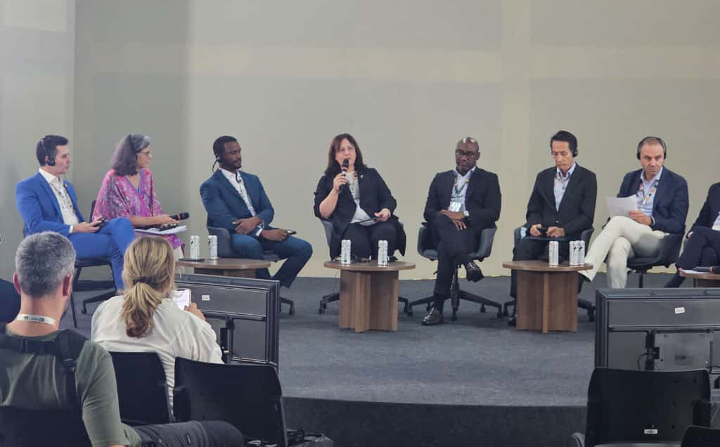 Deputy Minister Varank Attends the “Multilevel Climate Action Ministerial Meeting”