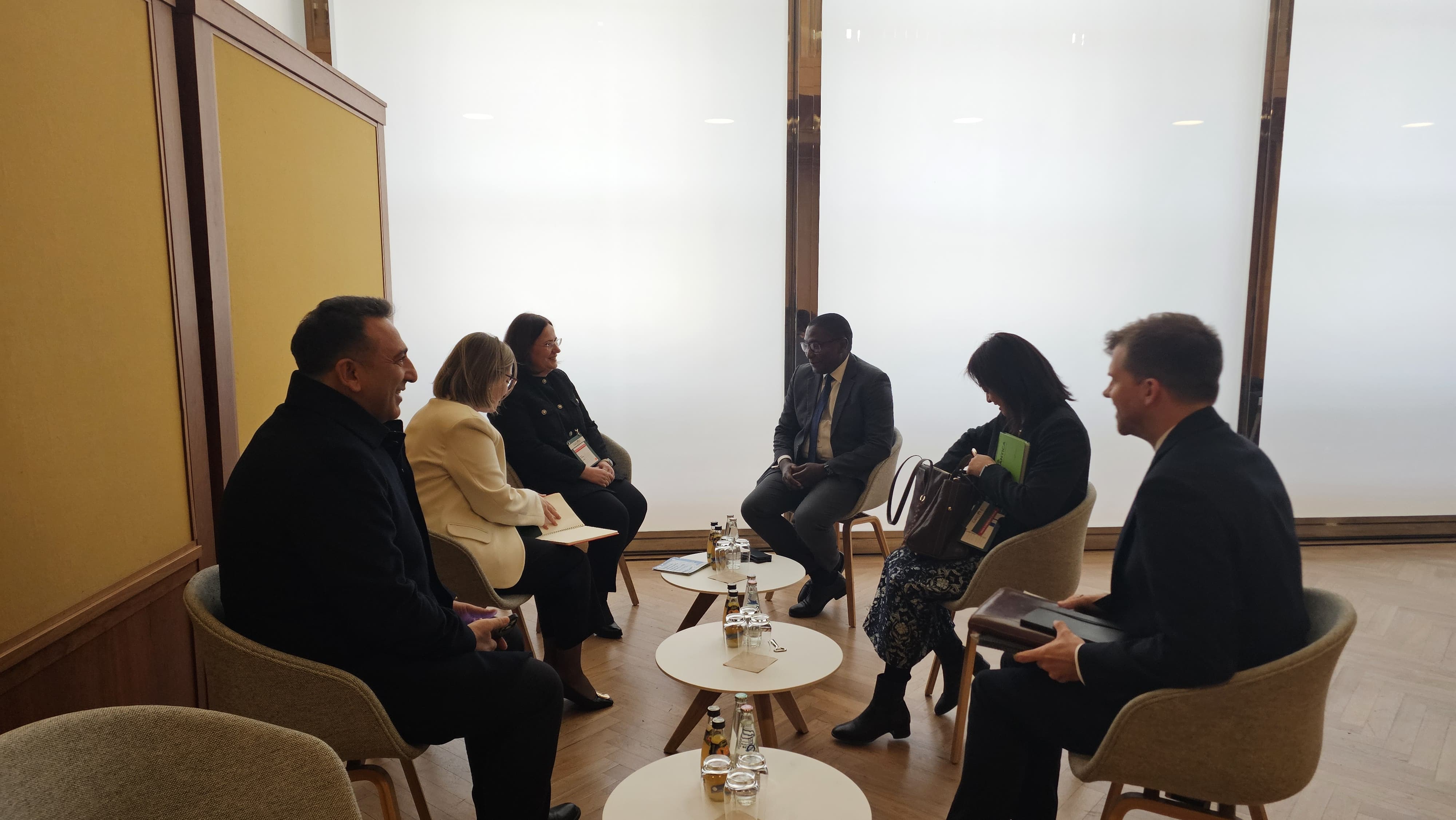 Deputy Minister of Environment, Urbanization, and Climate Change Varank and Director of Climate Change Hasar Attend the 16th Petersberg Climate Dialogue