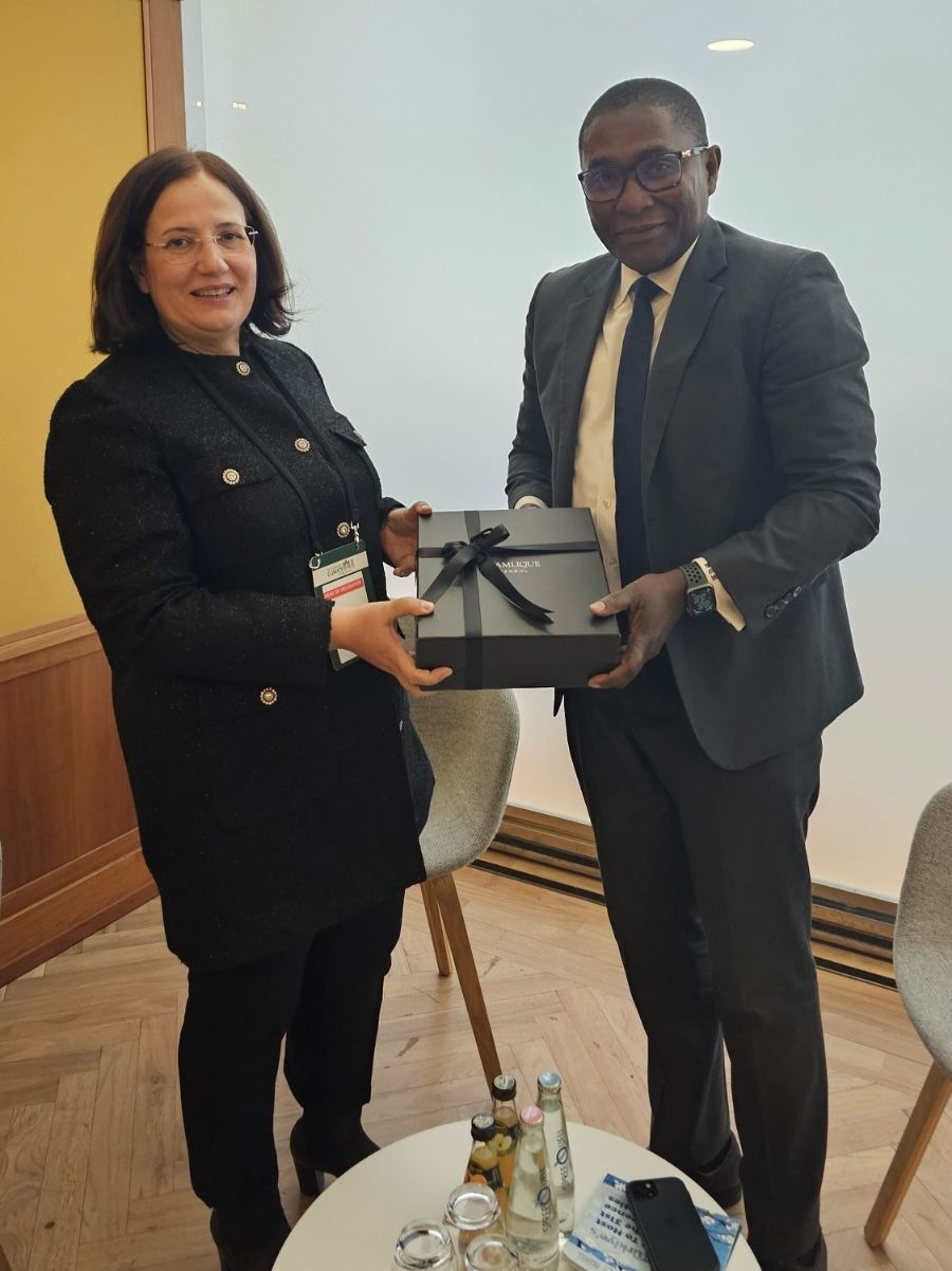 Deputy Minister of Environment, Urbanization, and Climate Change Varank and Director of Climate Change Hasar Attend the 16th Petersberg Climate Dialogue