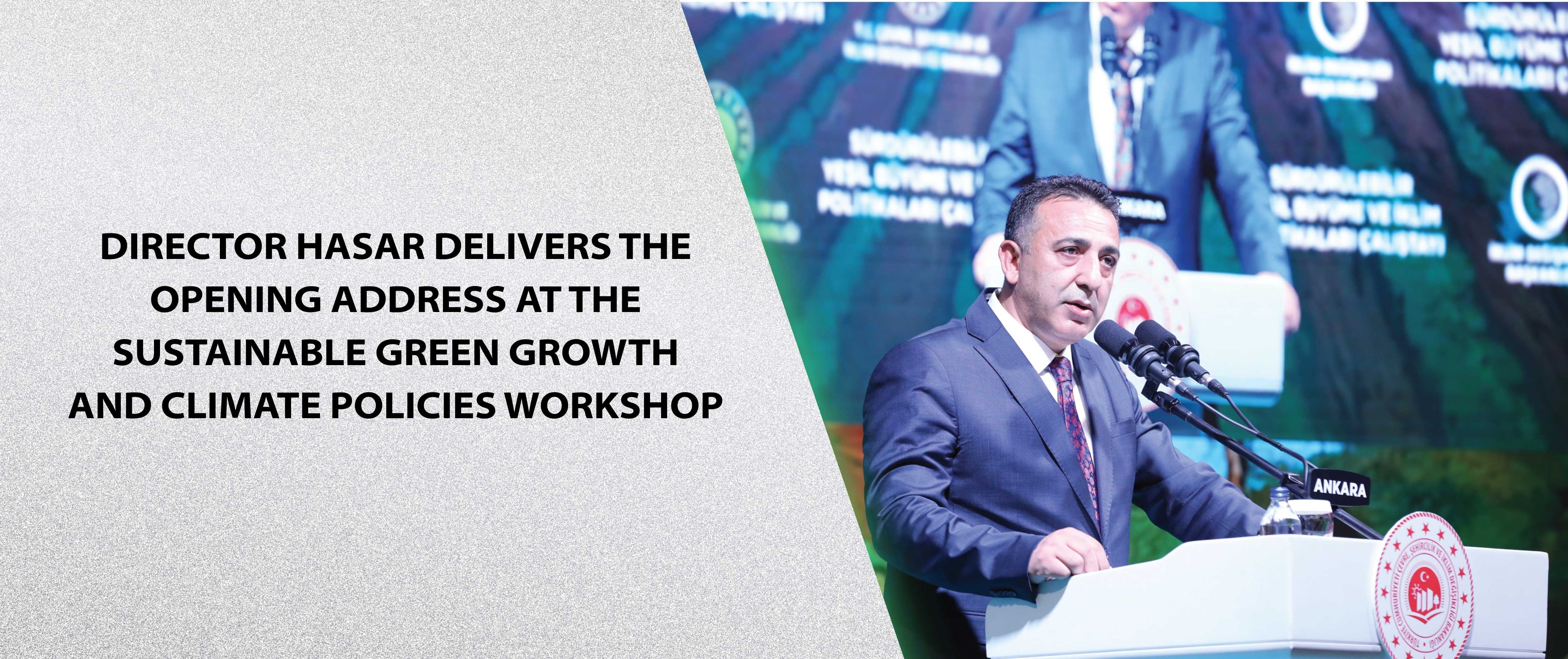 Director Hasar Delivers the Opening Address at the Sustainable Green Growth and Climate Policies Workshop