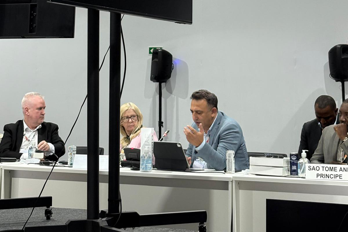 Director of Climate Change Hasar Attends UN-Invited Meeting on the New Era of NDC Implementation