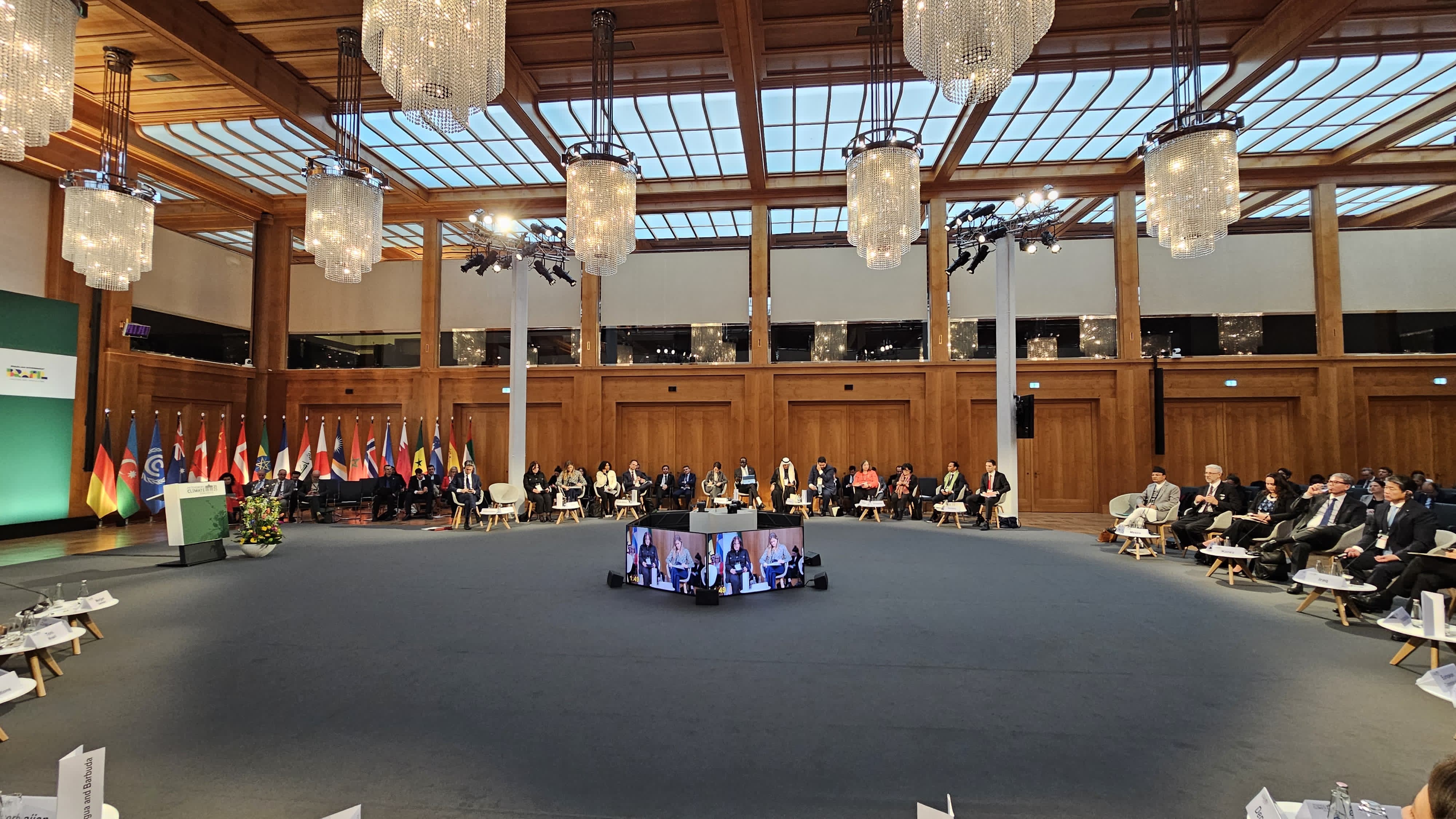 Director of Climate Change Hasar Reviews COP Processes in Berlin