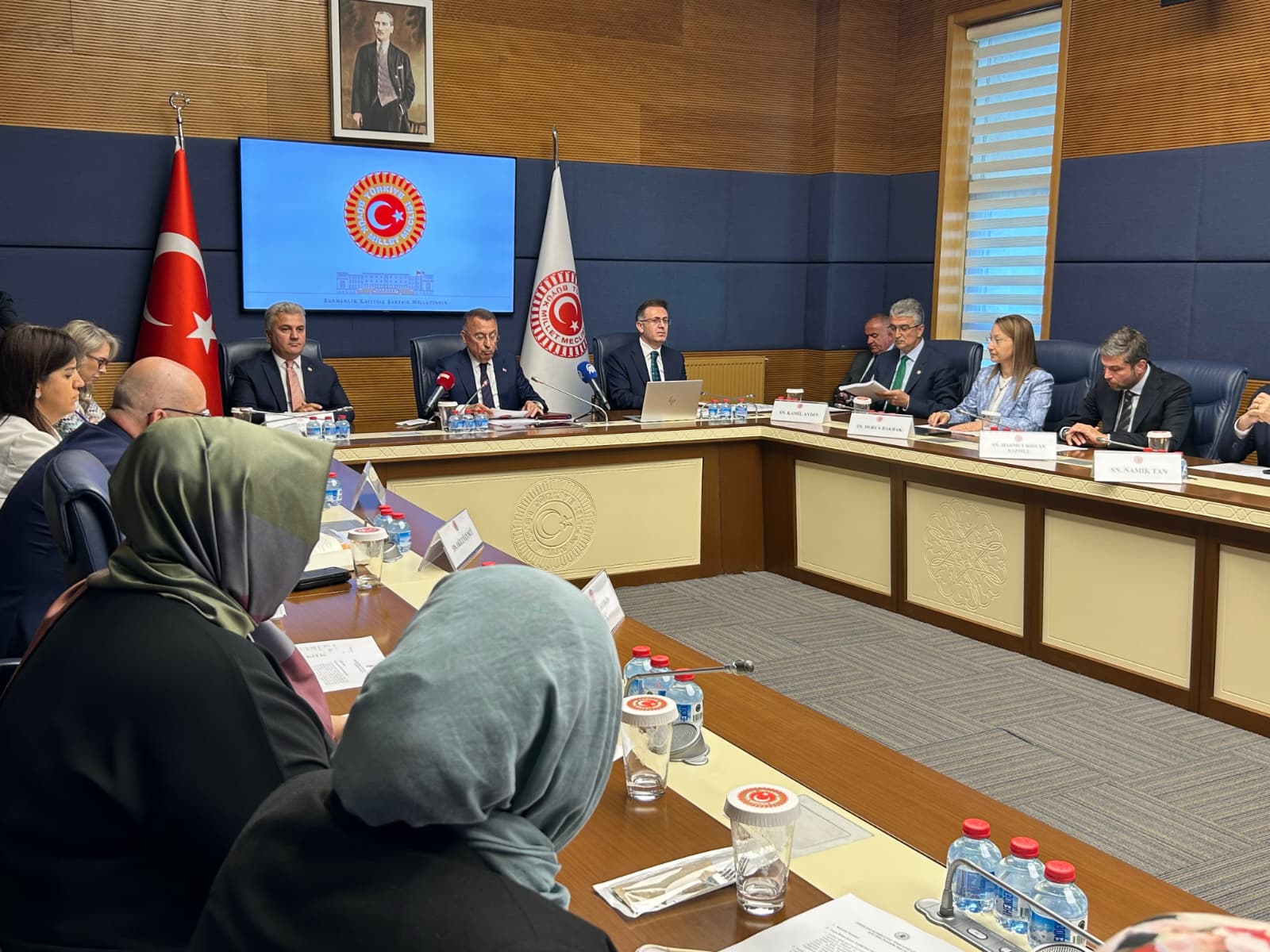 Director of Climate Change Hasar Addresses GNAT Foreign Affairs Committee