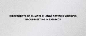 Directorate of Climate Change Attends Working Group Meeting in Bangkok