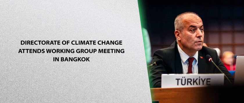 Directorate of Climate Change Attends Working Group Meeting in Bangkok