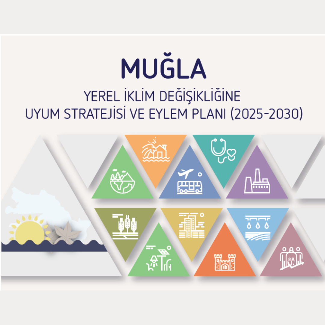 Local Climate Change Adaptation Strategies and Action Plans Prepared for Four Pilot Provinces