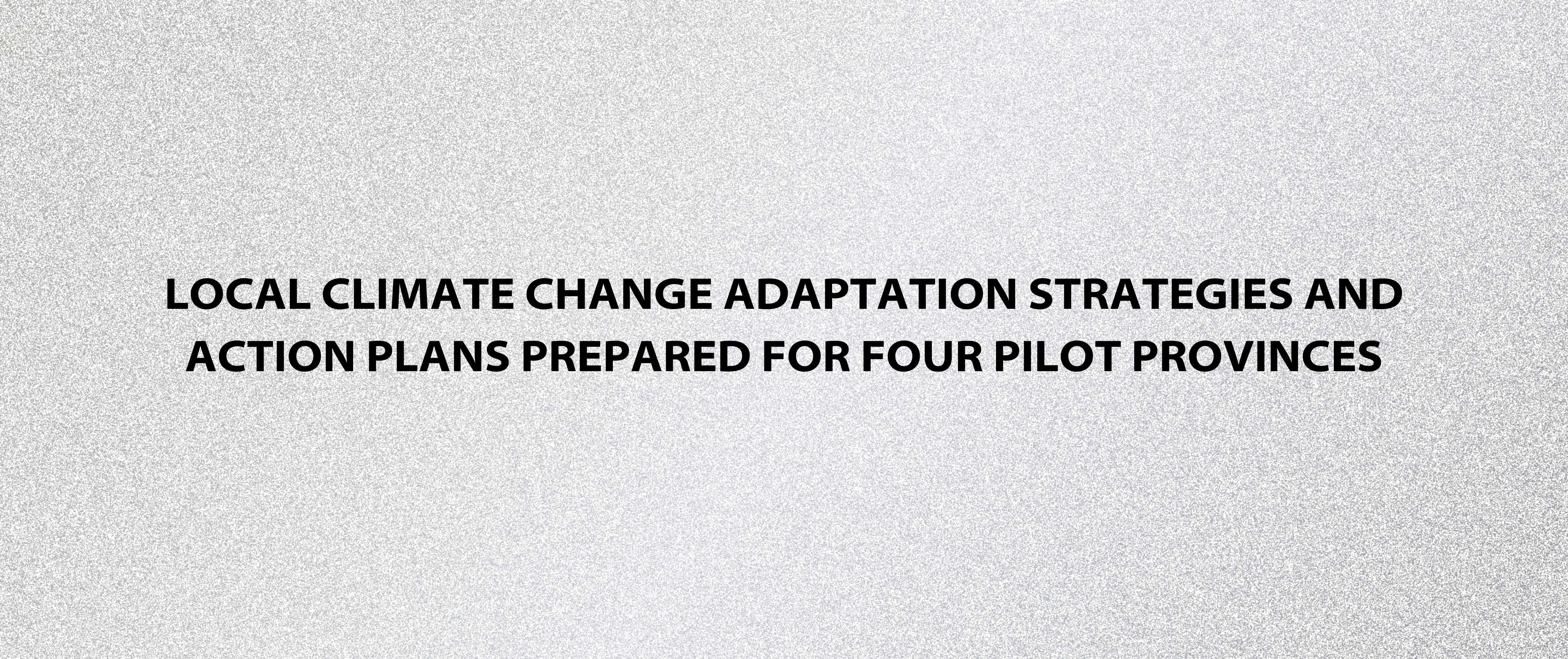 Local Climate Change Adaptation Strategies and Action Plans Prepared for Four Pilot Provinces