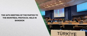 The 36th Meeting of the Parties to the Montreal Protocol Held in Bangkok