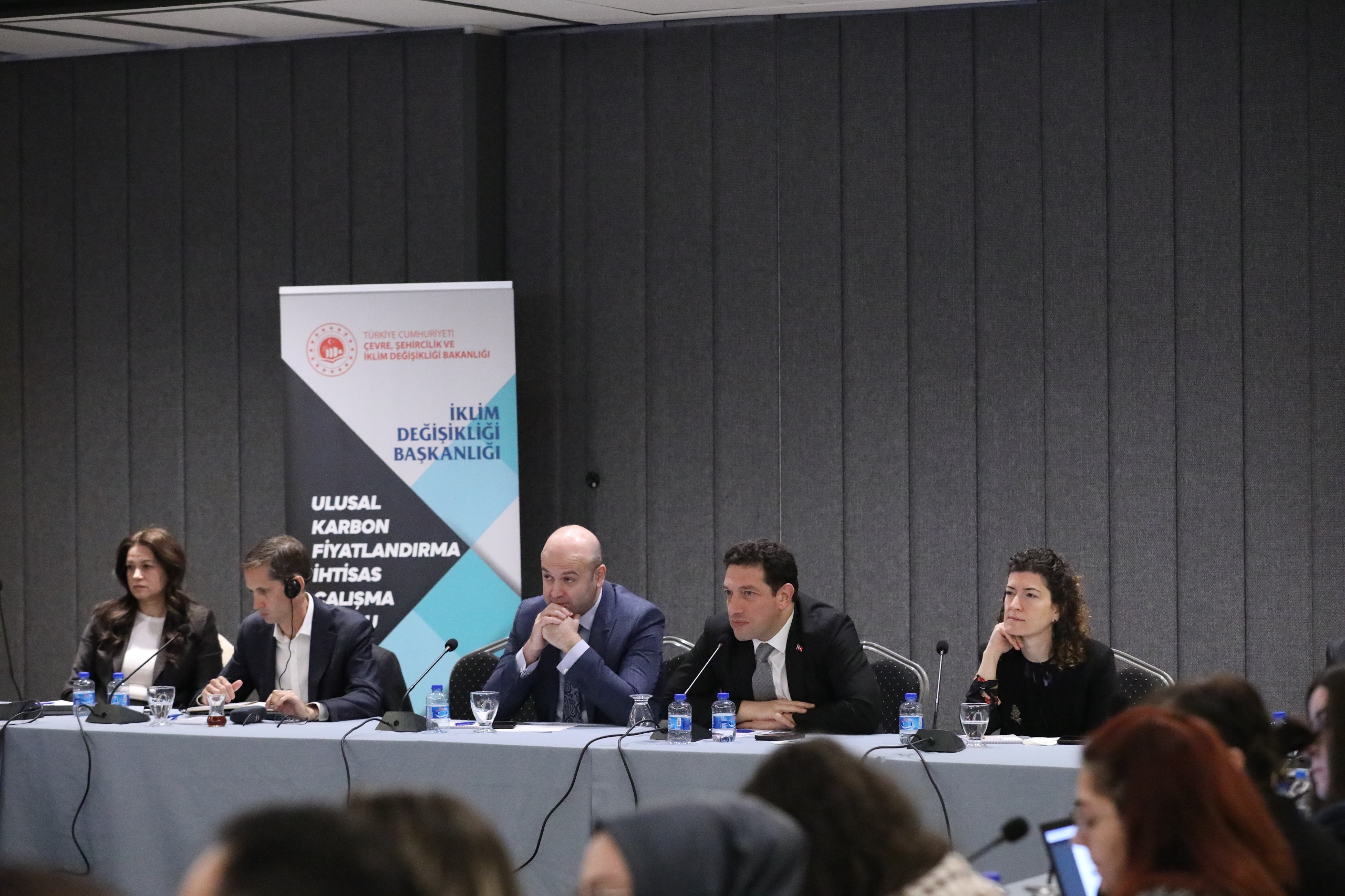 The Sixth Meeting of the National Carbon Pricing Specialized Working Group Convened