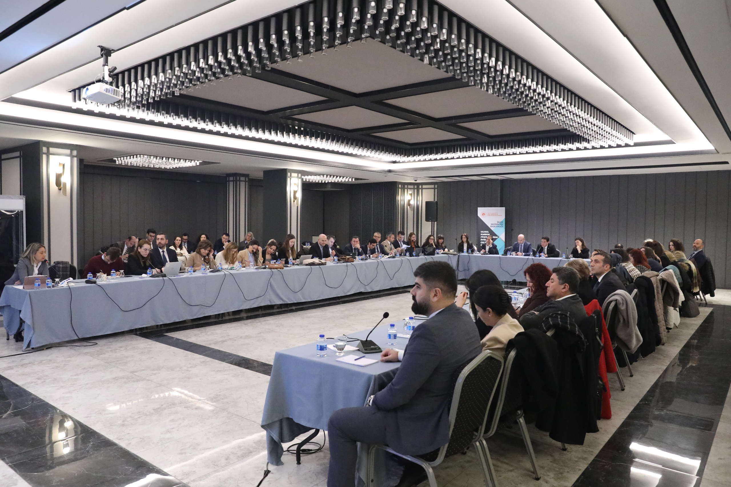 The Sixth Meeting of the National Carbon Pricing Specialized Working Group Convened