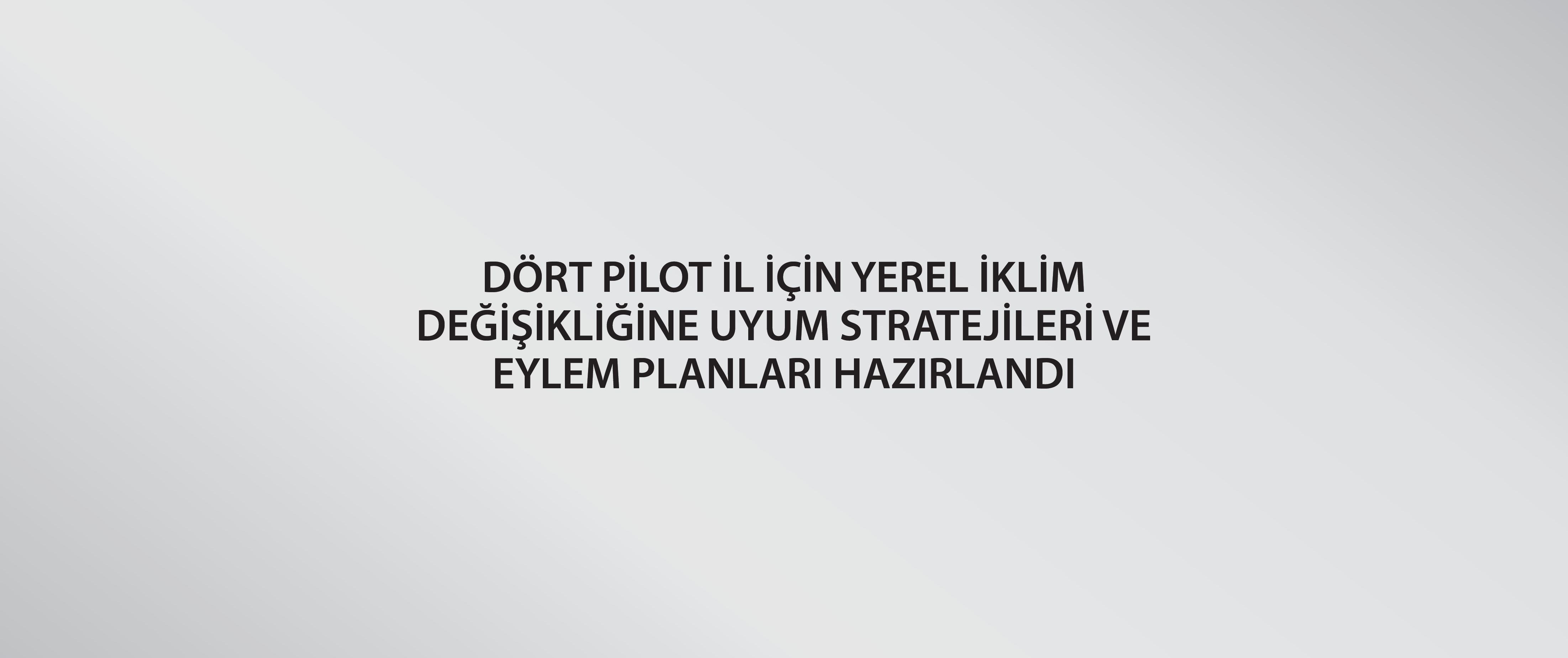 Dört pilot il için Yerel İklim Değişikliğine Uyum Stratejileri ve Eylem Planları hazırlandı