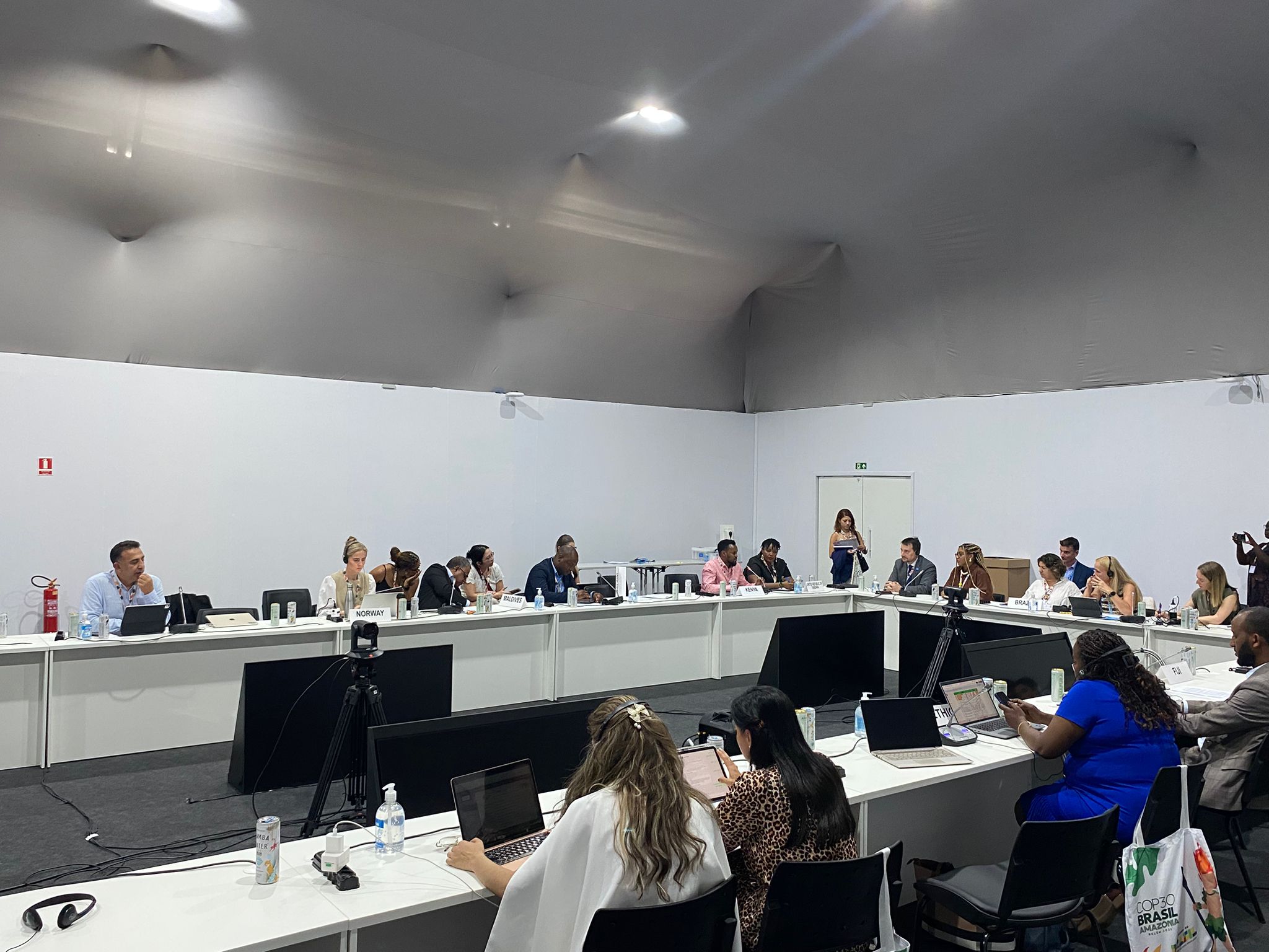 İklim Değişikliği Başkanı Hasar, “Çocuklar ve İklim Eylemi Dostları Grubu”nda Konuştu