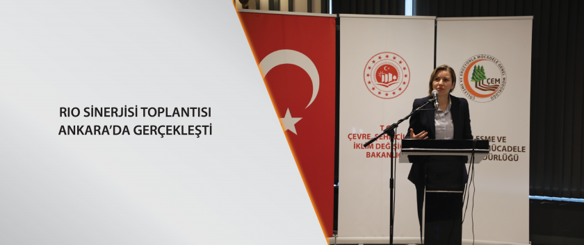 Rio Sinerjisi Toplantısı Ankara’da gerçekleşti