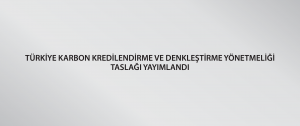 Türkiye Karbon Kredilendirme ve Denkleştirme Yönetmeliği Taslağı Yayımlandı
