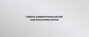Türkiye, Karbon Piyasaları için Açık Koalisyona katıldı