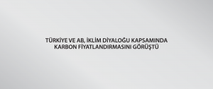 Türkiye ve AB, İklim Diyaloğu Kapsamında Karbon Fiyatlandırmasını görüştü