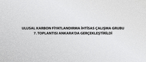 Ulusal Karbon Fiyatlandırma İhtisas Çalışma Grubu 7. Toplantısı Ankara’da Gerçekleştirildi